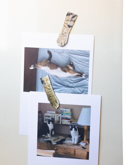MAGNETIC CAT PAW BOOKMARKS（ブックマーク4個セット）