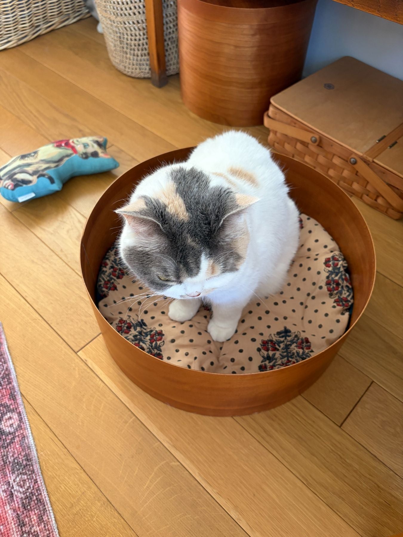 シェーカーネコベッドに合わせても。<br>
モデル猫：5kg<br>
※こちらの写真の柄はイメージです。