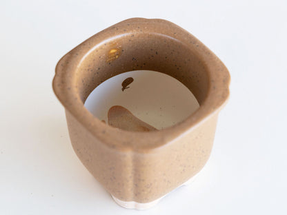 The BONSAI 松（盆栽栽培セット）