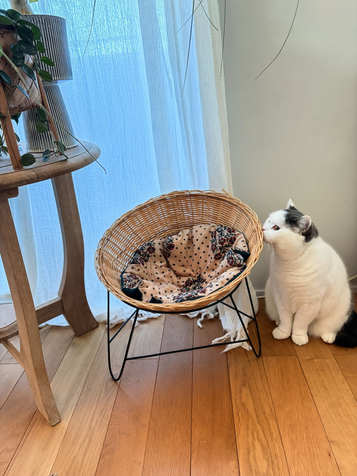写真はアイアンレッグラタンチェアに敷いています。<br>
モデル猫：5.2kg<br>
※こちらの写真の柄はイメージです。