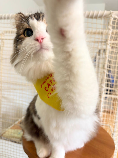 もずく：6kg