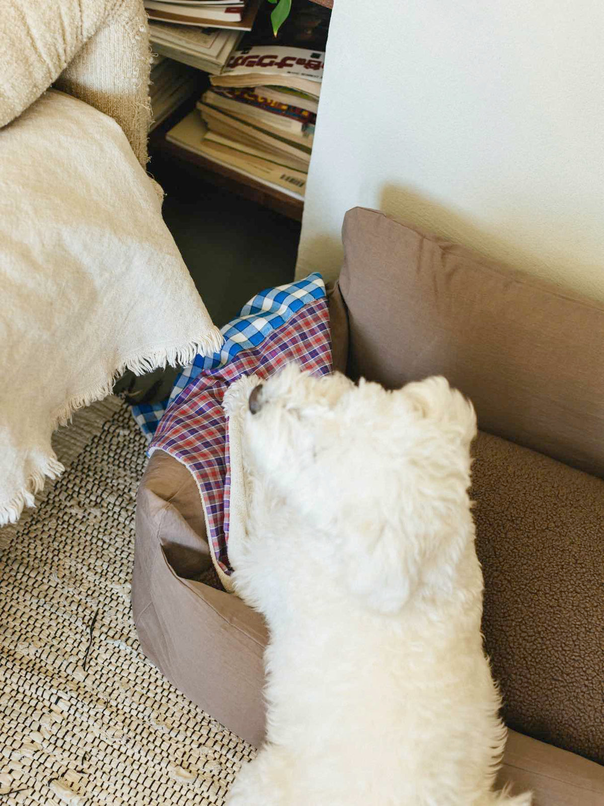 オリジナル・キャット&ドッグソファ