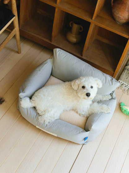 モデル犬：7.7kg