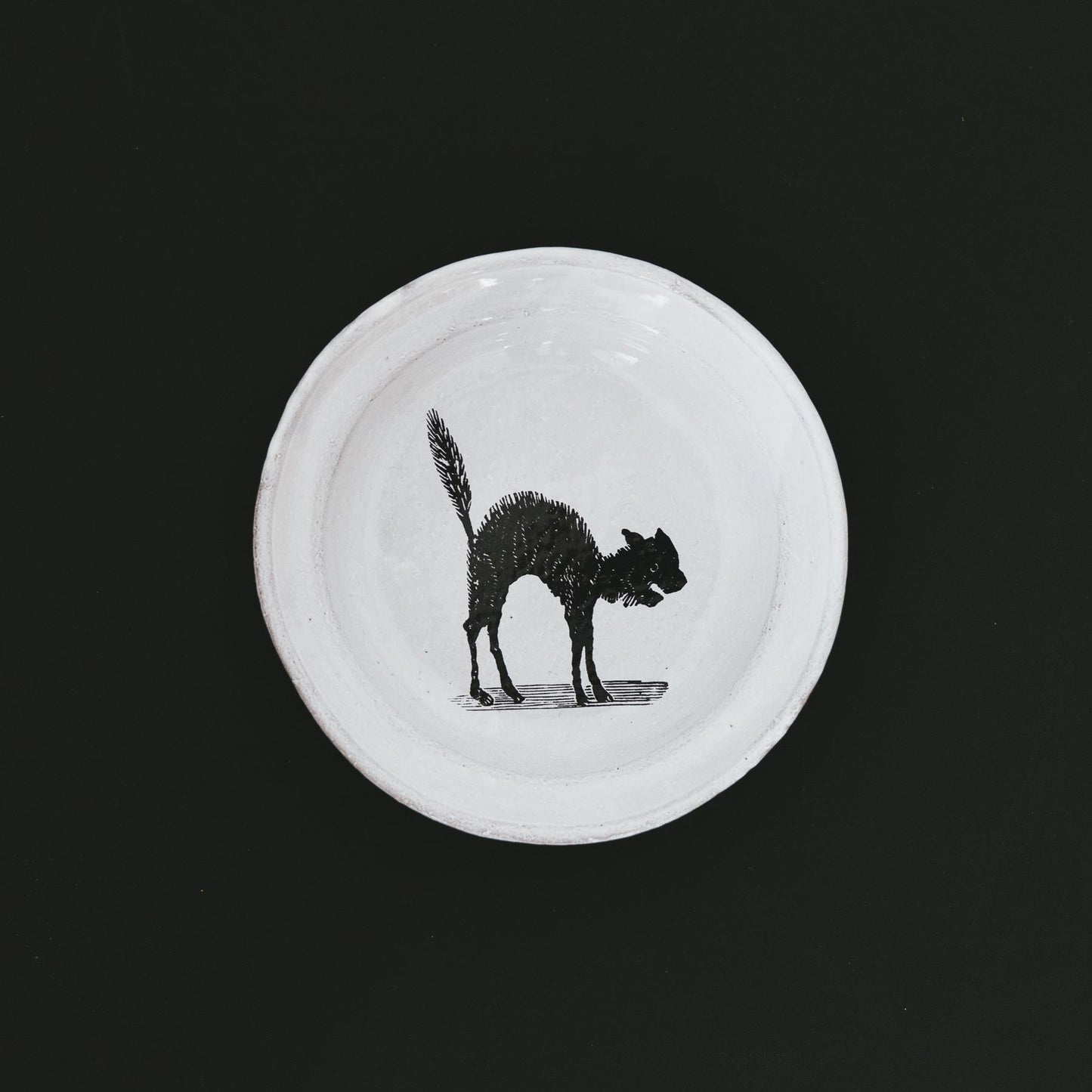 Astier de Villatte John Derian ディッシュ アーチキャット
