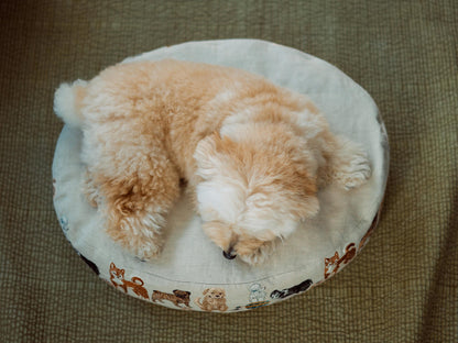 モデル犬の体重：5.3kg