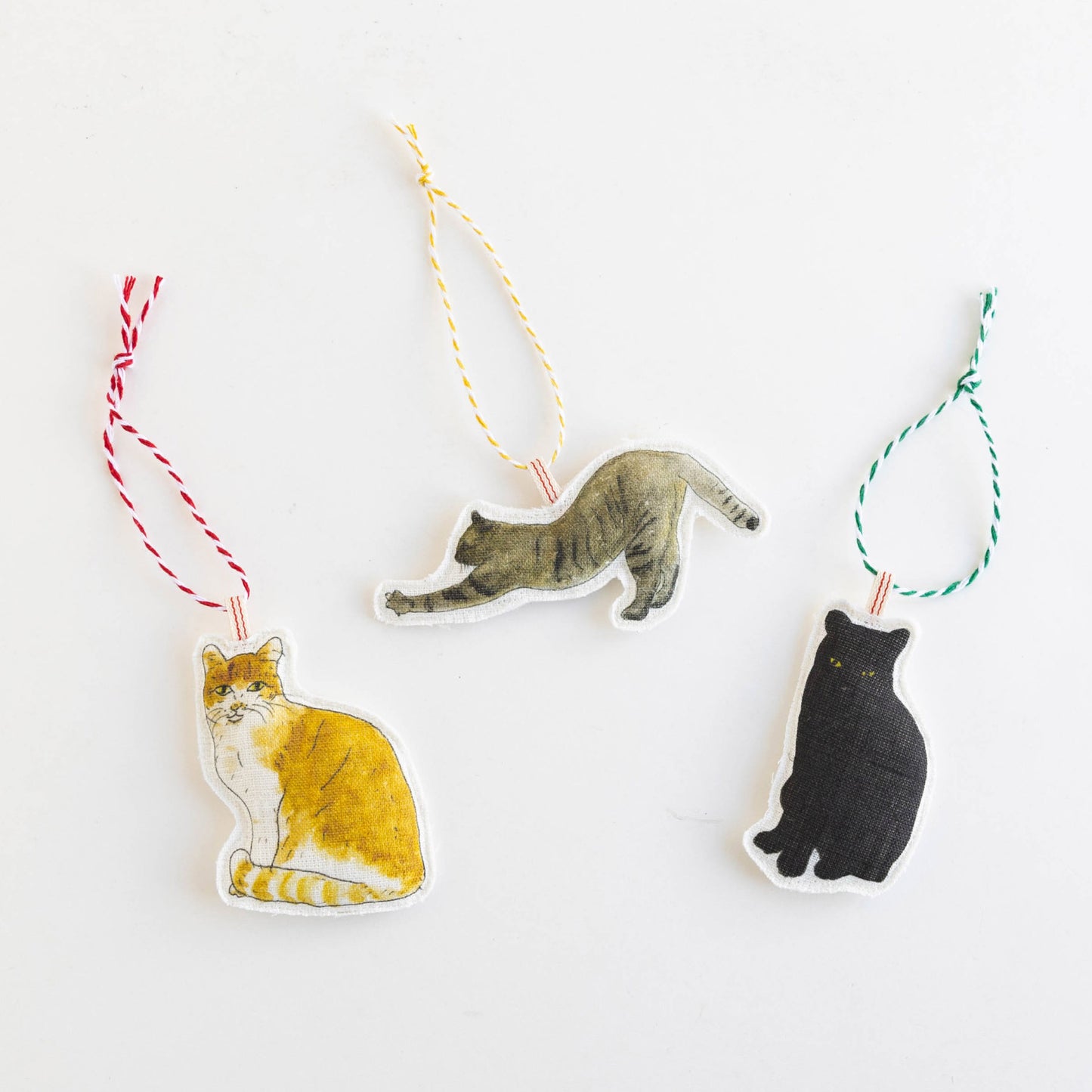 猫／Bセット