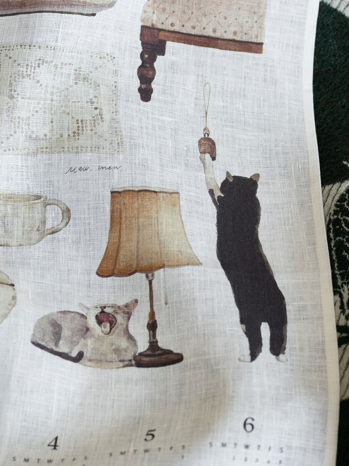 A year with CATS