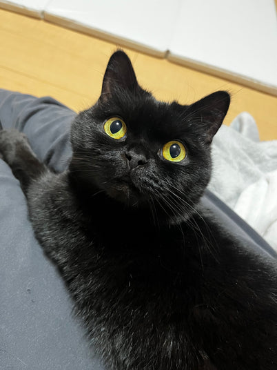 うに