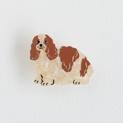 TWO TONE DOG
