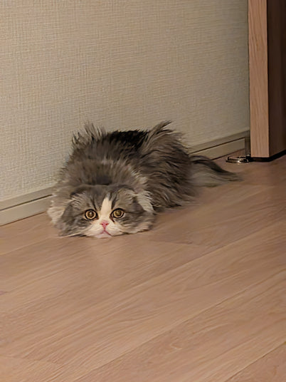らむ