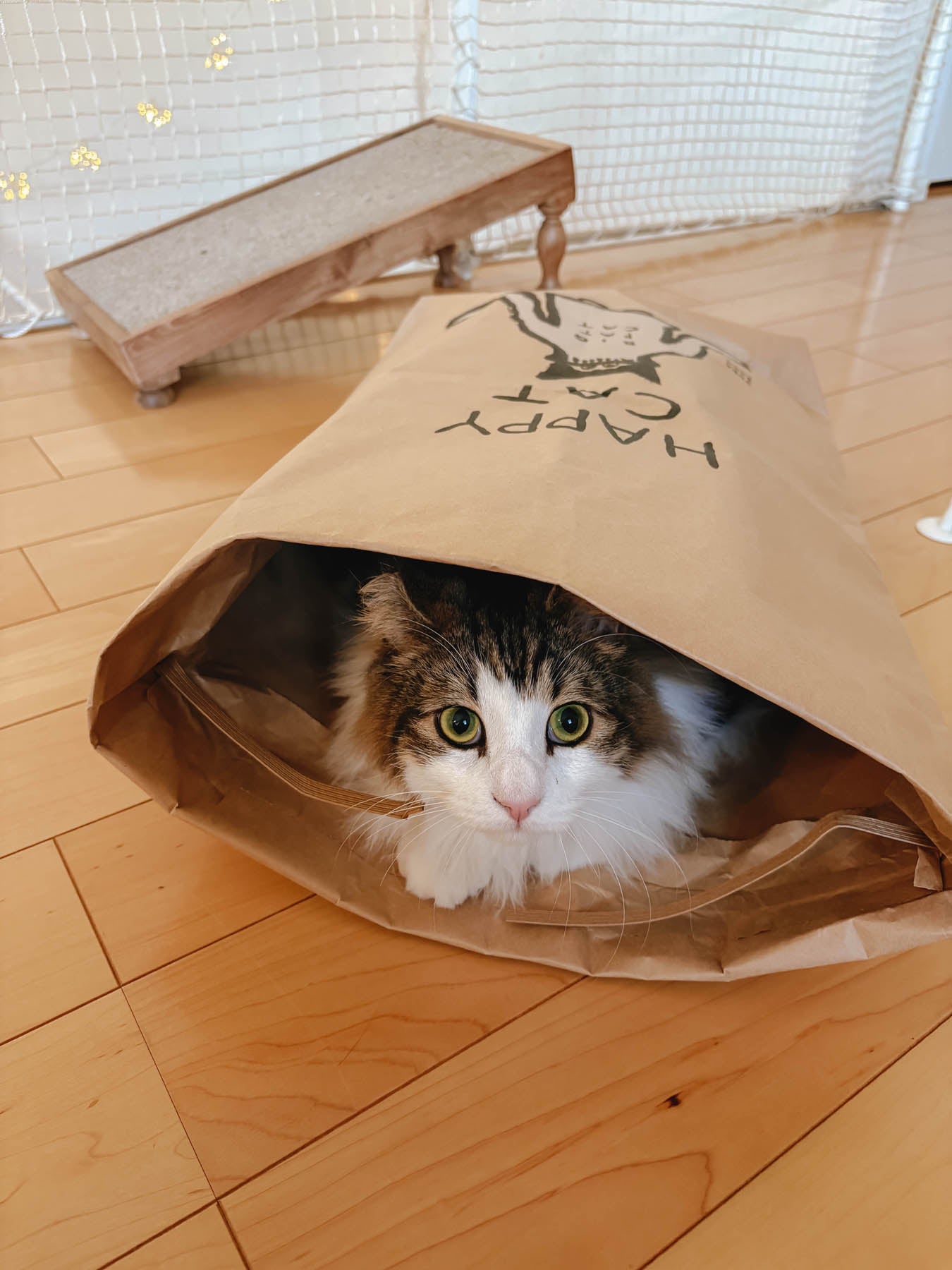 オルネコ・ネコのための米袋／坂巻弓華 HAPPY CAT