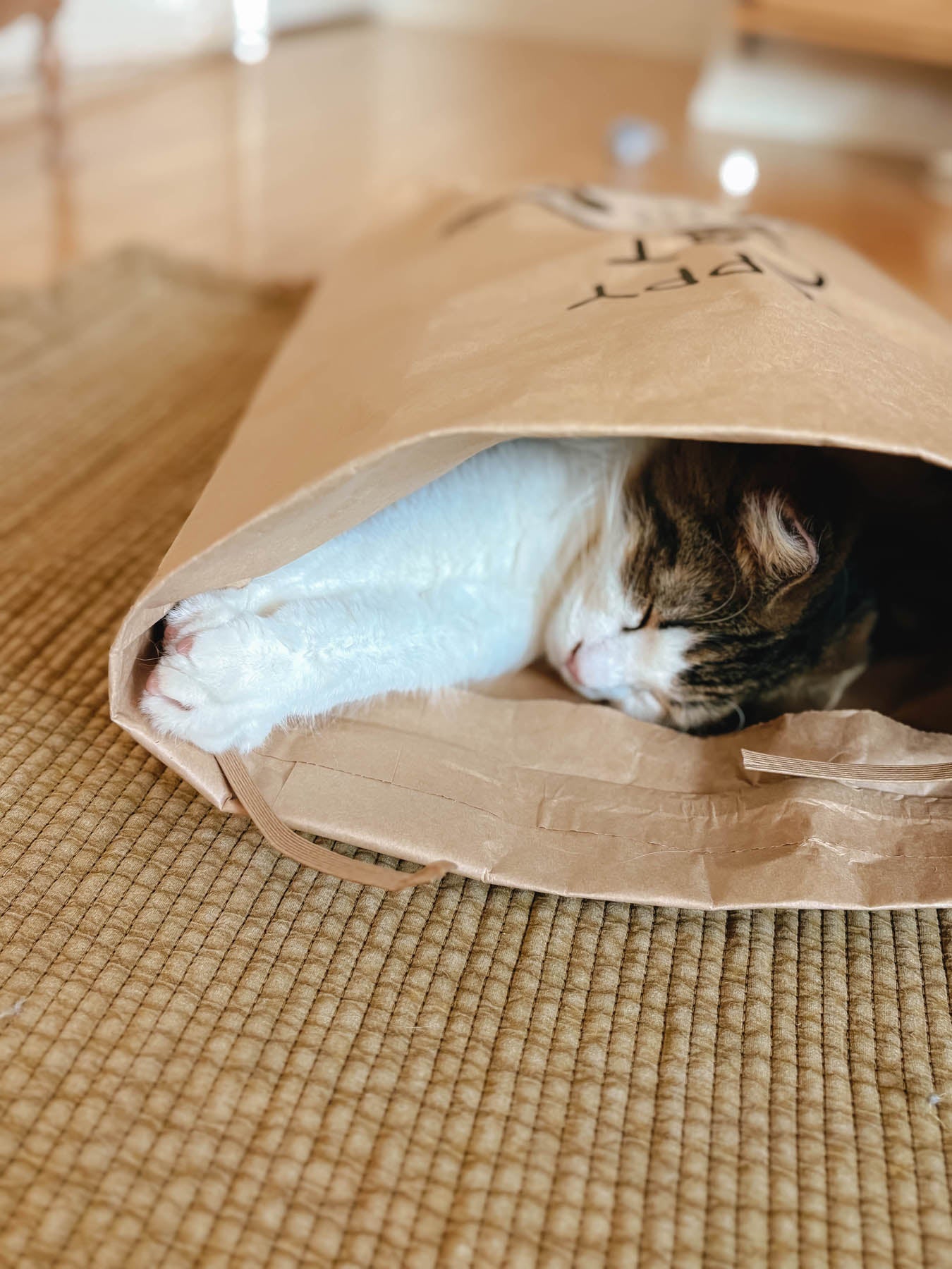 オルネコ・ネコのための米袋／坂巻弓華 HAPPY CAT