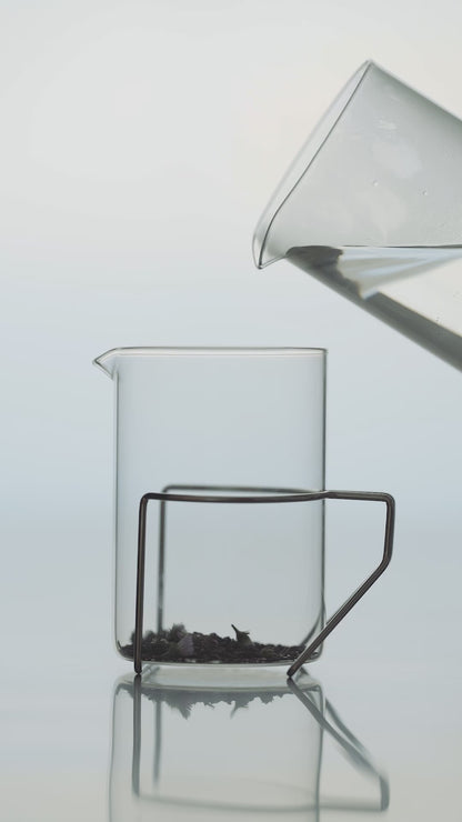 BOROSIL VISION GLASS