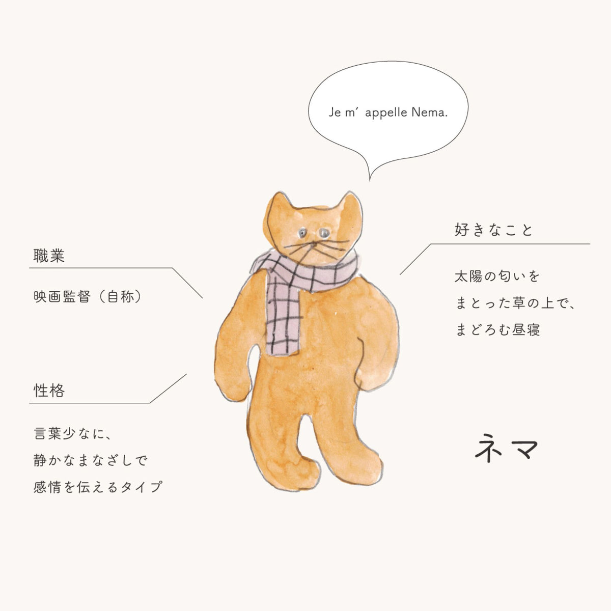 ネマ（マフラー）