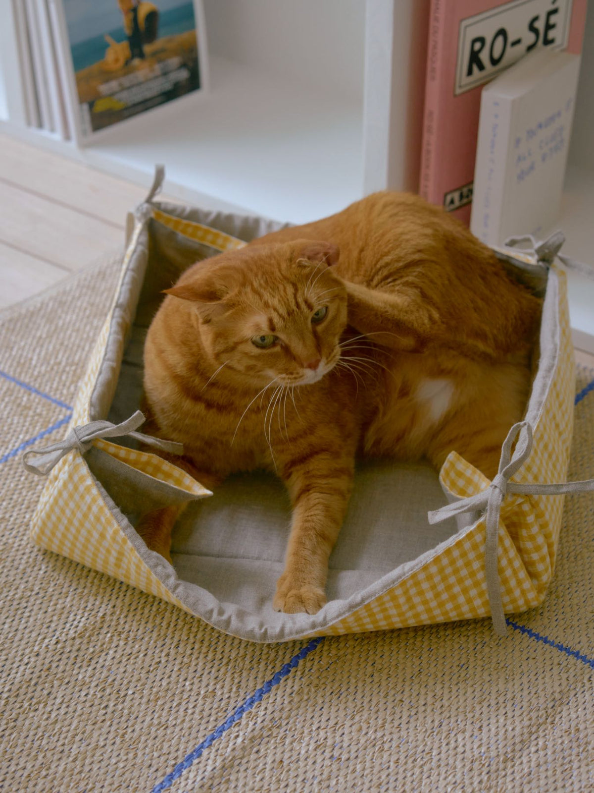 モデル猫：7.3kg