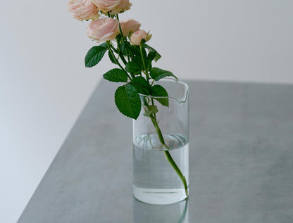 BOROSIL VISION GLASS
