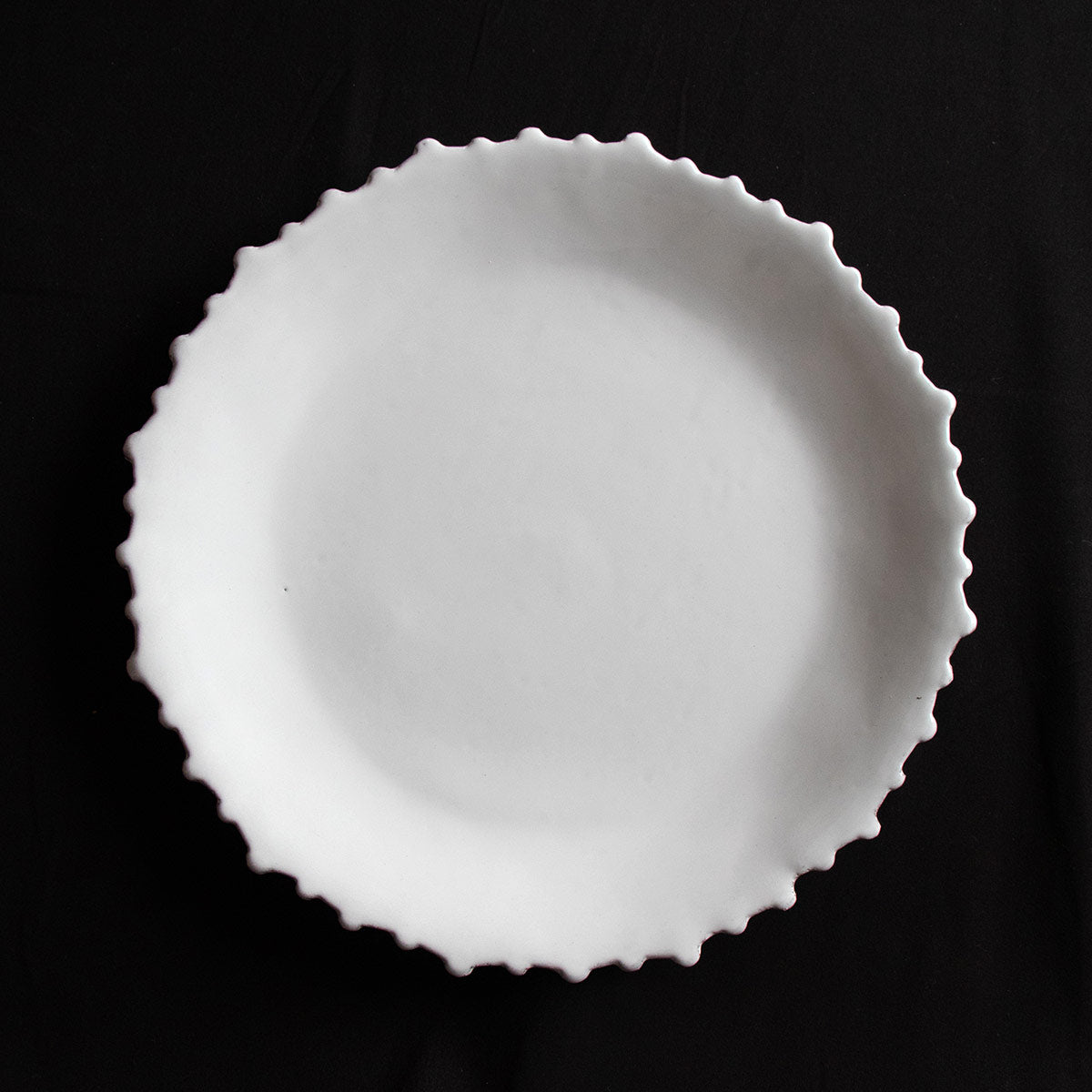 at0470 Astier de Villate Riviere ラージディナープレート